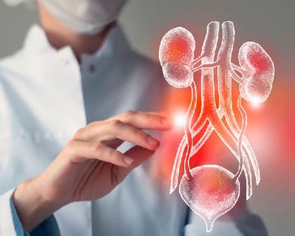 Nephrology