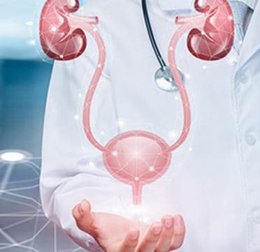 Urology & Nephrology